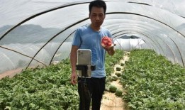 带货直播间吃瓜,吃瓜群众围观直播间幕后故事