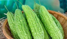 6月可以吃的瓜,6月必尝的时令美味