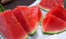 吃瓜塑胶人,揭秘现代都市的塑料面具与真实自我