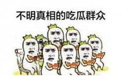 吃瓜群众上场知乎,网络时代的围观者与传播者