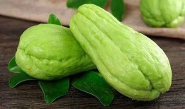 深圳吃牛沙瓜,牛沙瓜的独特风味之旅