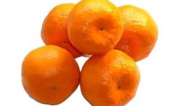 吃哈密瓜可以吃橘子吗,探索夏日水果新吃法