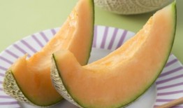 嘟嘟吃哈密瓜,甜蜜的夏日邂逅