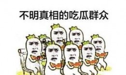 吃瓜群众怎么投稿