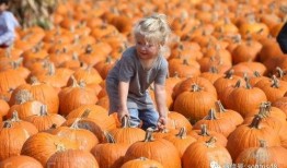 瓜哥带你吃瓜过万圣节