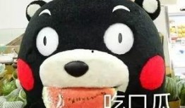 看剧加吃瓜,边看剧边吃瓜，解锁娱乐新姿势