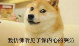 仿佛看到吃瓜的自己,窥见自我吃瓜的瞬间