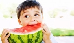 吃瓜神人,网络红人的崛起与影响力