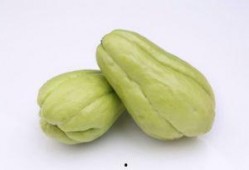 扶手瓜种子可以吃吗,可食用之谜揭晓