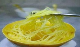 金丝绞瓜如何吃,解锁美味新境界