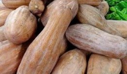 保洁拖地吃瓜,品味生活——保洁拖地吃瓜的悠闲时光