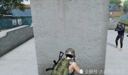 吃鸡吃瓜动作,揭秘网络热词背后的趣味生活