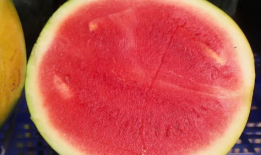 小仙吃瓜,揭秘娱乐圈那些不为人知的幕后故事