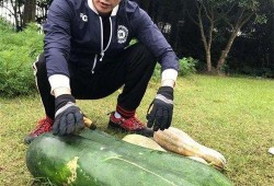 河美吃瓜爆料,揭秘娱乐圈背后的惊人真相