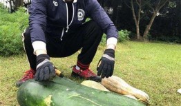 河美吃瓜爆料,揭秘娱乐圈背后的惊人真相