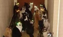 云南吃瓜群众小孩,舌尖上的童年记忆