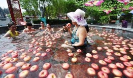 带你吃瓜奇葩温泉,带你领略“带你吃瓜”温泉的独特魅力