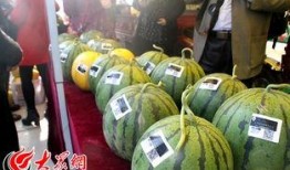 安迪南王吃瓜,瓜田里的传奇故事