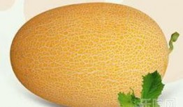 吃一个哈密瓜长胖吗,吃一个真的会长胖吗？