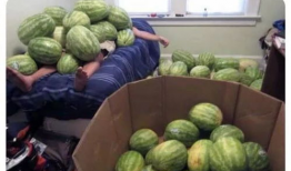 大赛吃瓜,揭秘幕后故事，一窥精彩瞬间