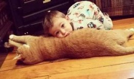 吃瓜少年梁小皮,吃瓜少年梁小皮的瓜界传奇