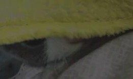 吃瓜群众沙雕版,揭秘娱乐圈那些不为人知的幕后故事