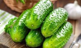 威海大妈吃瓜,揭秘街头热议事件