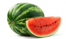 吃瓜系统萧北辰,瓜田里的风云人物