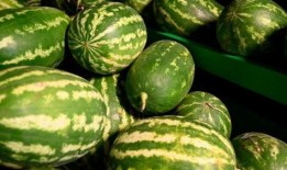 桃源新村吃瓜事件,邻里纠纷背后的社区风波