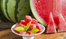 吃wlh瓜,探寻“wlh瓜”的独特风味与美食文化