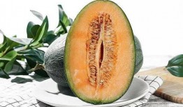 6月可以吃的瓜,6月必尝的时令美味
