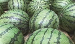 番薯的吃瓜日常,笑谈人间烟火气