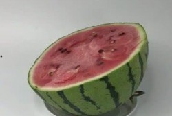 瓜冷冻还敢吃吗,揭秘冷冻瓜还能否放心享用