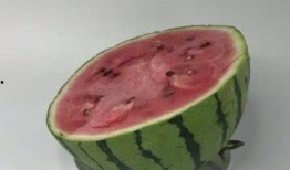 瓜冷冻还敢吃吗,揭秘冷冻瓜还能否放心享用