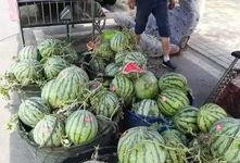 桃源新村吃瓜事件,邻里纠纷背后的社区风波