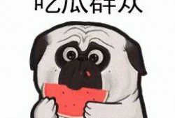 吃瓜发现全家皆是大佬,揭秘全家皆是大佬的神秘家族