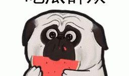 吃瓜发现全家皆是大佬,揭秘全家皆是大佬的神秘家族