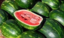 吃瓜随凡全集,揭秘娱乐圈背后的真实故事