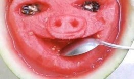 整天想着吃瓜呢,揭秘“整天想着吃瓜呢”背后的故事