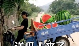 姐妹们吃瓜文案,娱乐圈最新吃瓜大揭秘！