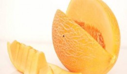 小果吃哈密瓜,小果的哈密瓜美食之旅