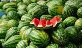 改变吃瓜现象从自身来看,解码现象背后的自我反思