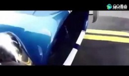 误入车队全程吃瓜,全程吃瓜，揭秘车队背后的故事