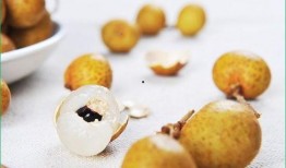 肺炎可以吃白瓜,白瓜助力康复之旅