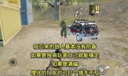 吃鸡吃瓜动作,揭秘网络热词背后的趣味生活