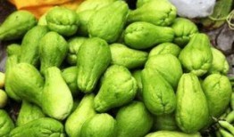 吃瓜直播吃东西,一场视觉与味蕾的双重盛宴