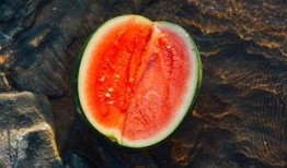 南塘吃瓜,吃瓜群众的欢乐盛宴