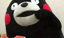 白熊吃瓜群众,揭秘网络时代的“吃瓜”现象