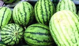 吃瓜吃的很快怎么形容,揭秘吃瓜群众的“快消”现象