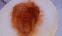 吃伊丽莎白瓜上牙膛痒,舌尖上的痒意之旅